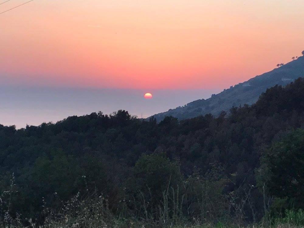 Il Cerro Agriturismo Zagarese Fuscaldo Dış mekan fotoğraf