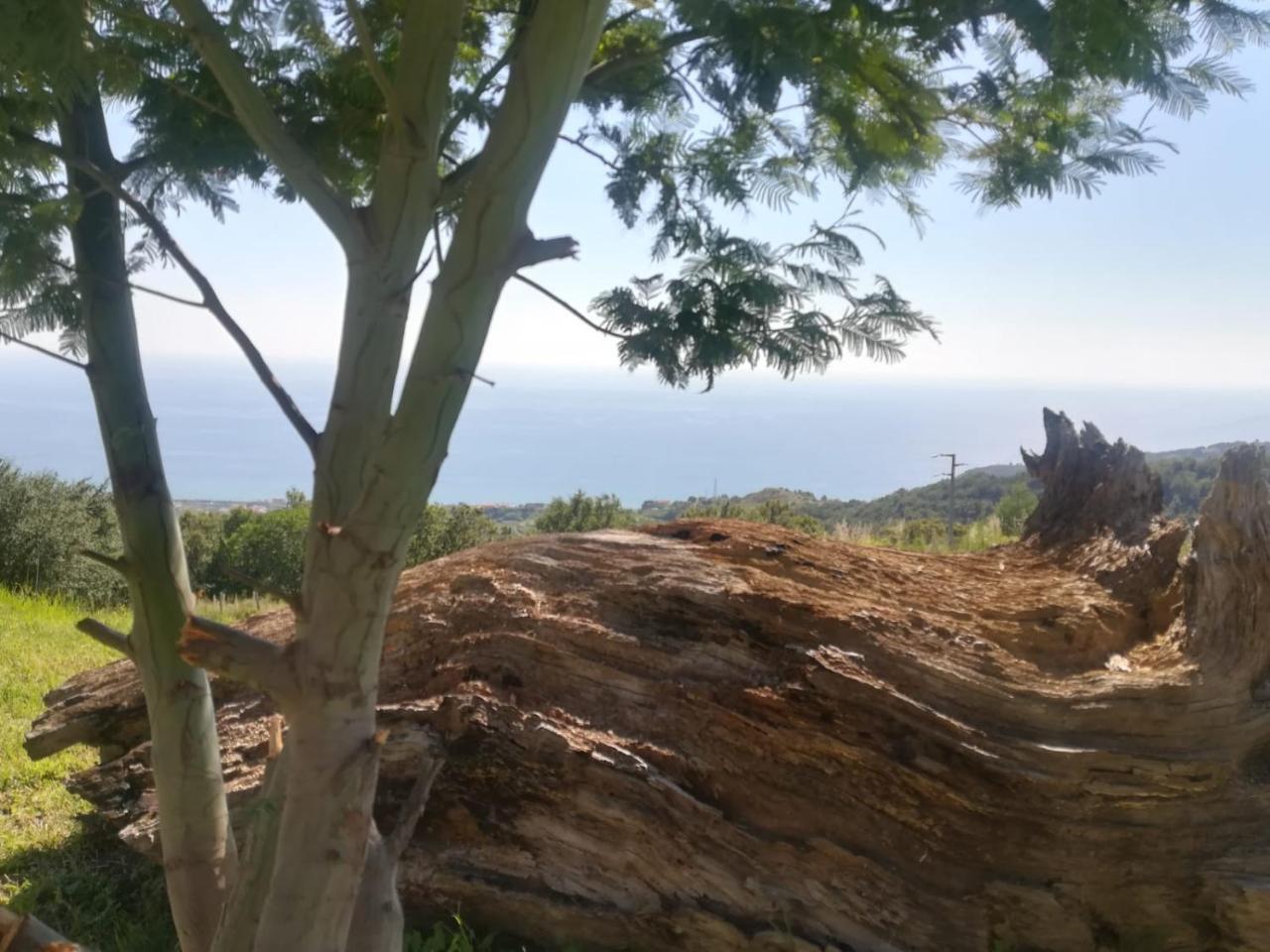 Il Cerro Agriturismo Zagarese Fuscaldo Dış mekan fotoğraf